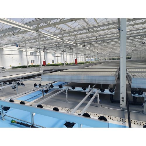 Seedling Raising Glass Greenhouse