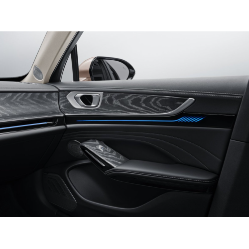 Hongqi H9 Premium Luxury Sedan