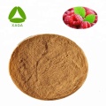 98% Raspberry Ketone Powder Red Raspberry Extract