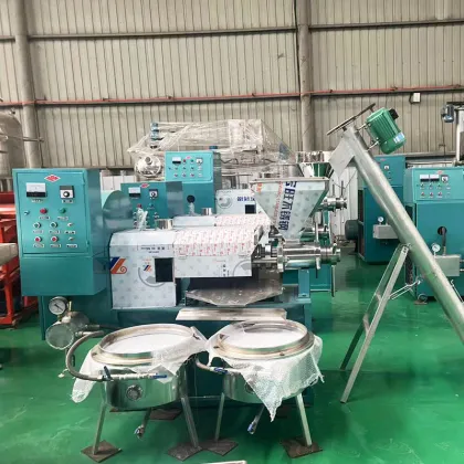 Sesame Sunflower Cold Press Oil Machine