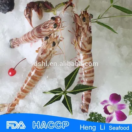 HL002 best quality sushi food salad shrimp salad
