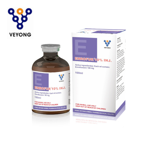 High Quality 100ml Enrofloxacin Injection for Vets