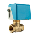 TMOK 220V Electric Valve: 1.6MPa DN15-32 Two-way & Three-way Brass Electric Check Valve