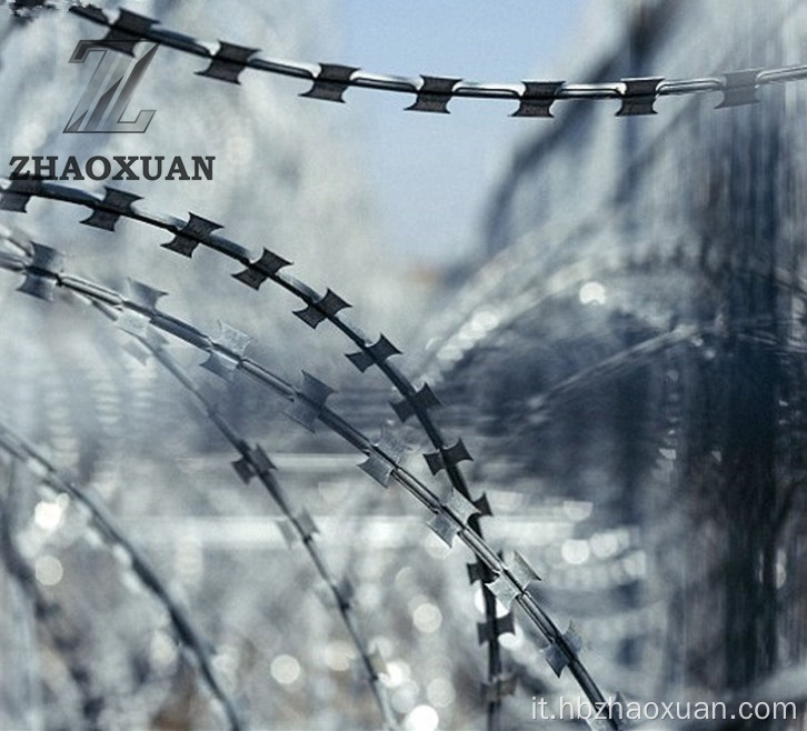 Wire con rasoio con rasoio galvanizzato