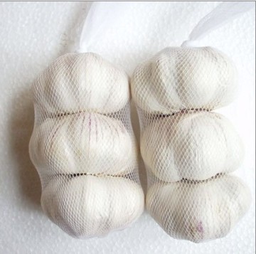 Pure White Garlic (loose packing or small packing)