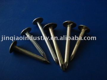 produce Cheap Plain Head Roofing Nails/Galvanized nails