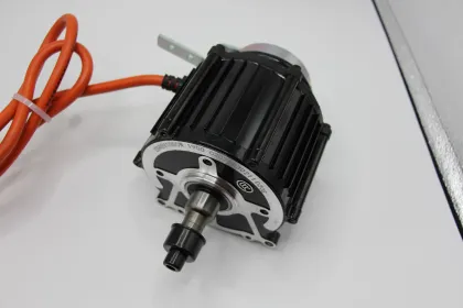 Monsoon-Proof IP54 Waterproof BLDC Motor