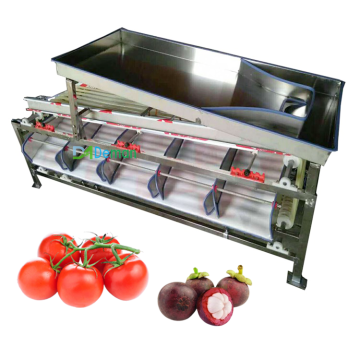 Orbital Type Fruit and Berry Sorting and Grading Machine - Gentle on Skin