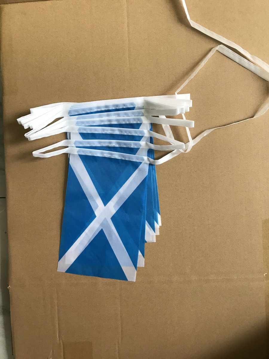 Scotland Bunting Flag