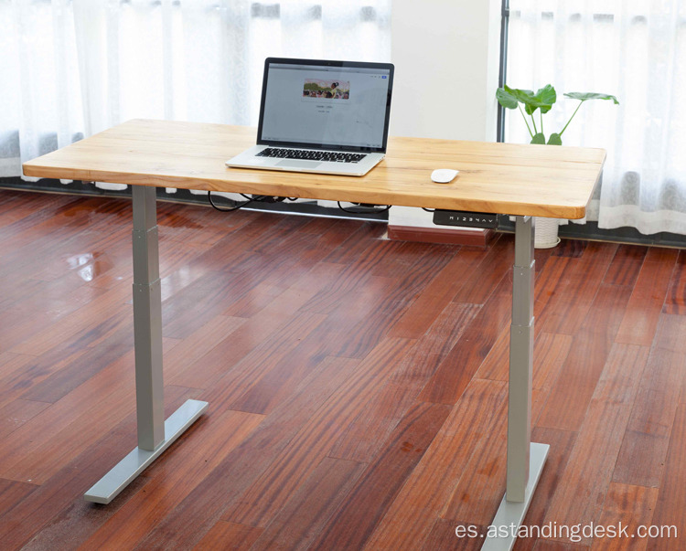 Muebles de oficina de alta calidad escritorio de motor dual ergonómico
