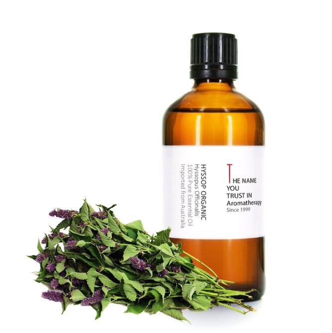 Hyssop Essential Oils จำนวนมาก