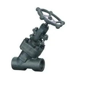 Forged Steel Y Type Globe Valve
