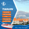 FCL Sea Shipping Freight From Tinajin To Belarus