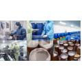 supply 99% Lgd4033 Purity CAS 1165910 22 4