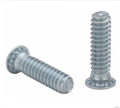 FHS Standard Fastening Riveting Stainless Extrusion Screw
