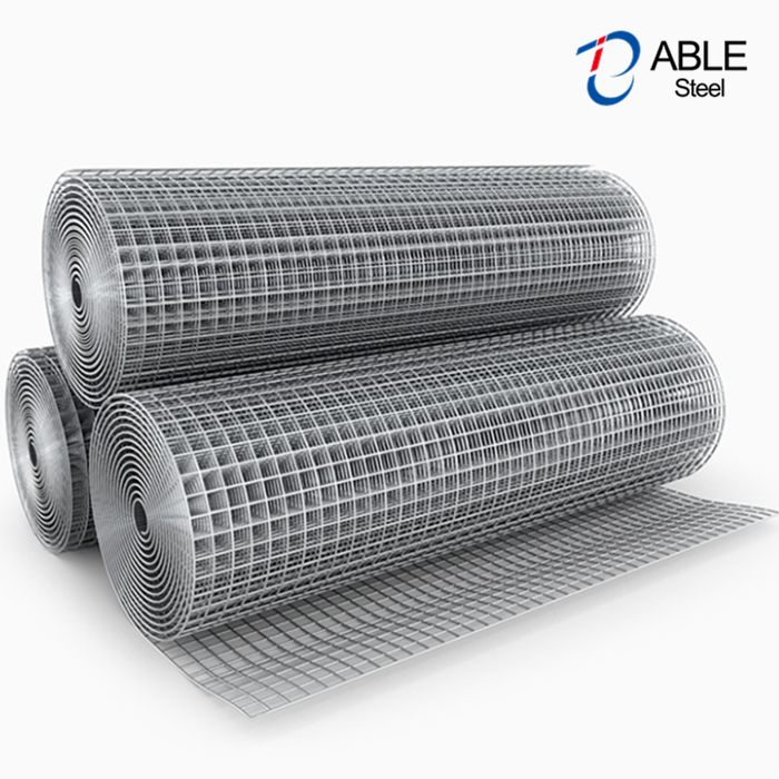 Hot Dipped Galvanized Welded Wire Mesh Rolls