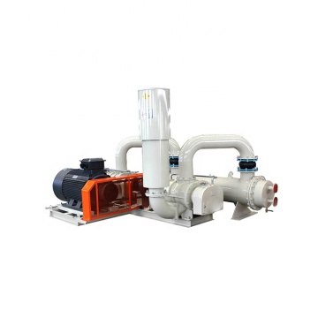 Hot Selling Double-Stage Tandem Electric Roots Blower Air Blower for Industrial Use with Silencer