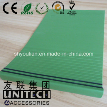 Virious of Specification PVC/Plastic/Vinyl Stair Nosing (Green Point un480)