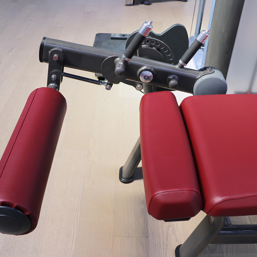 Dual function leg extension/prone leg curl machine