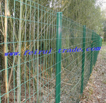 Euro Fence / Holland Fence for Field