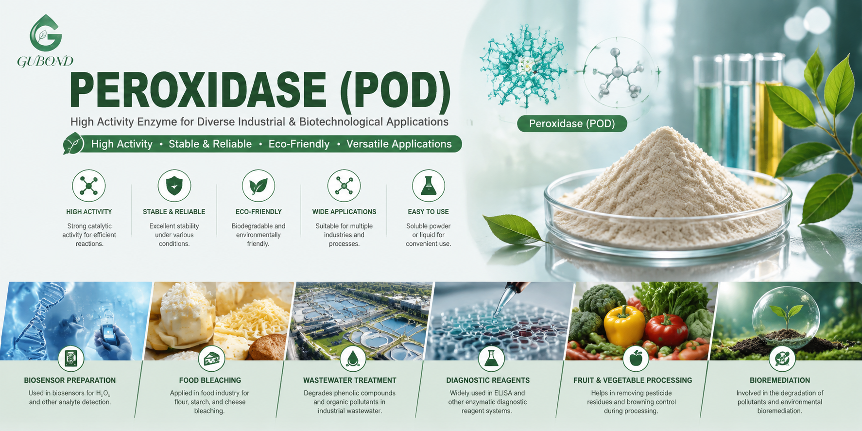 Peroxidase POD