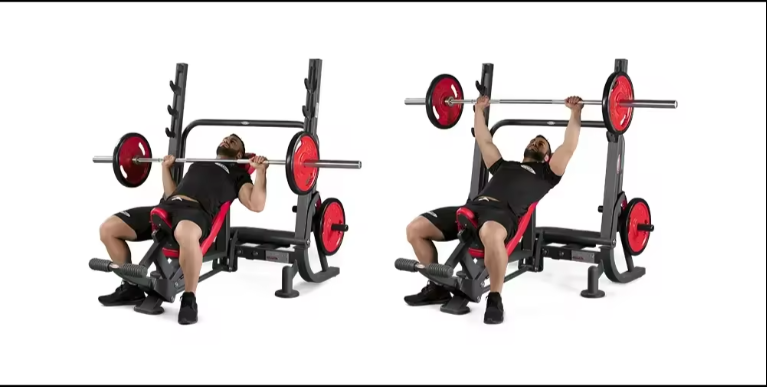 Commercial Fitness Equipment Plate Loaded INCLINED BENCH