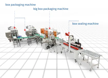 Automatic Carton Packaging Machine Lines for Various Industries