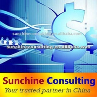 Consultancy Services