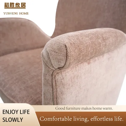 Contemporary Design Leisure Chair for Living Spaces