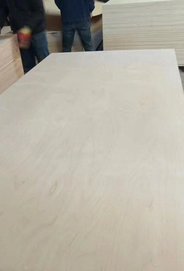 One time molding of plywood packaging board