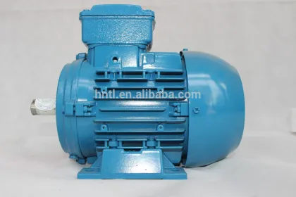 Customized WEG Brand Electric Motor