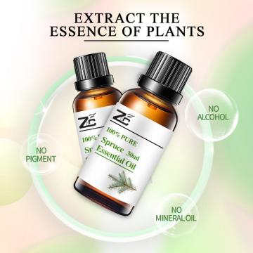 Therapeutic Grade Spruce Essential Oil For Skin Care Spruce oil