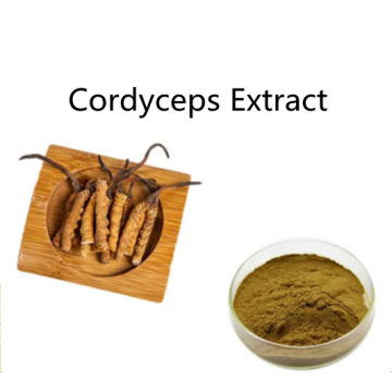 Buy online active ingredients Cordyceps Extract powder