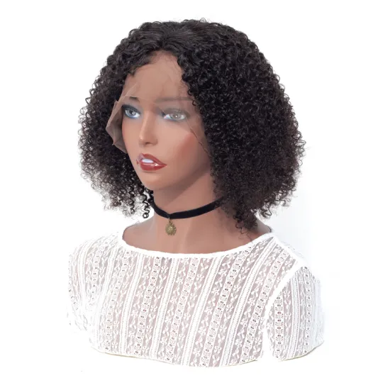 Cheap Wholesale Virgin Brazilian Unprocessed Kinky Curly Full Lace Human Hair Wigs