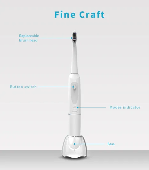 Travel kit battery operated electric toothbrush