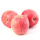 Ningxia Fresh Fresh ขนาดกลางขนาด Red Fuji Apples