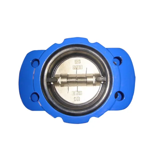 Supplying ductile iron /cast iron check valve flang end