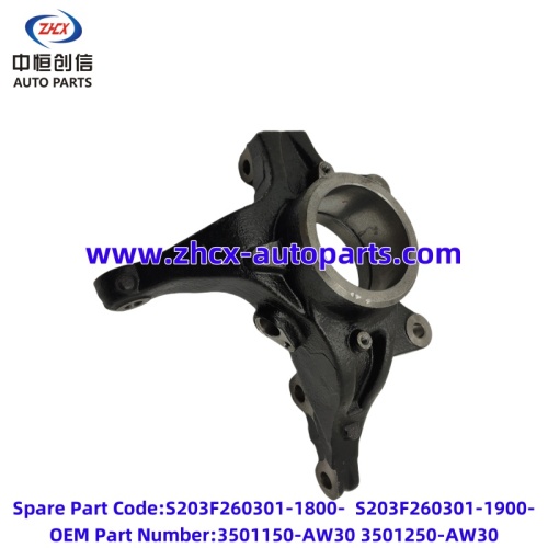 চাঙ্গান সিএস 55 প্লাস/কিউয়ান কিউ 05 এর জন্য ফ্রন্ট স্টিয়ারিং নাকল