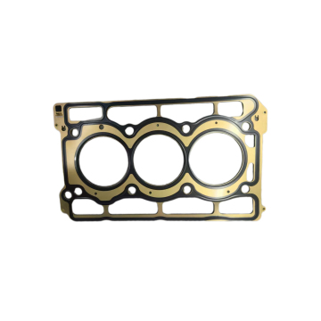 Cylinder Head Gasket 1025029500 for Tugella Xingyue 3G15