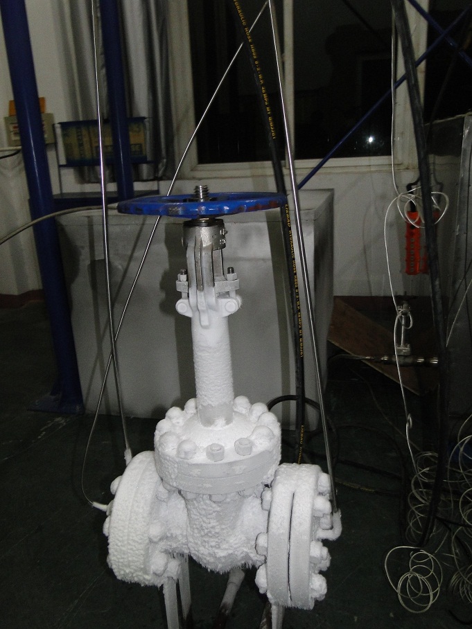 Professional Manufacturer of Cryogenic Gate Valve