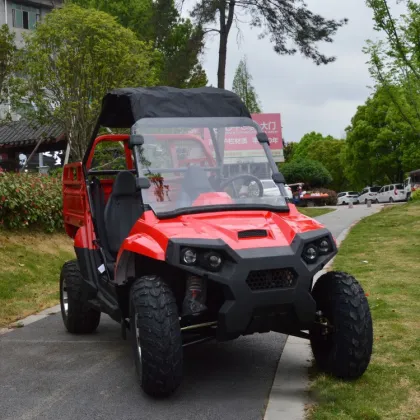 High-Quality 250/300cc Electric UTVs: China's Top Choice for Farm and Off-Road Adventures