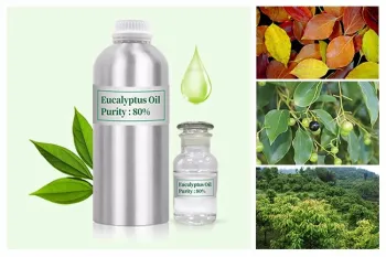 Eucalyptus Oil Ex. Camphor