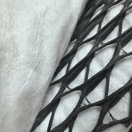 Geonet Geocomposite 6mm Netcore Plastic Net for Civil Engineering