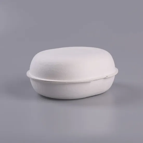 Compostable sugarcane pulp molded paper pulp box packaging