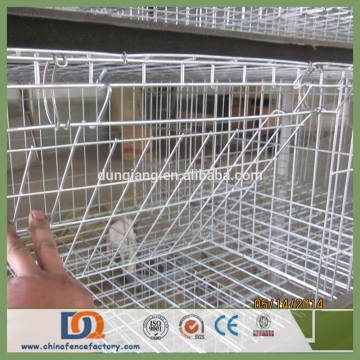 Trade Assurance Poultry Cage with Automatic Nipple Drinkers