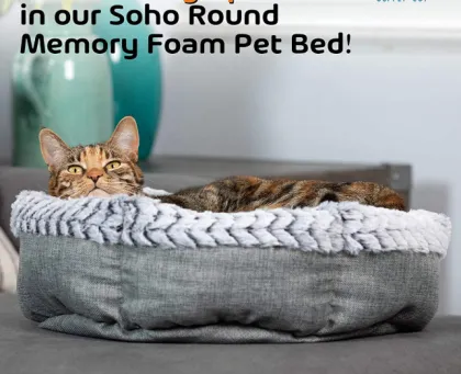 Solft Pet Bed Dog Bed Cat Bed