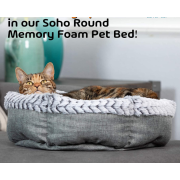 Solff Pet Bed Bed Bed Bed Bed Bed