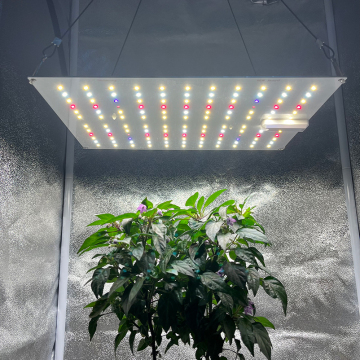 Kingbrite 65W Samsung LM281B+660 UV IRキャビネット屋内栽培のために光光を増やす