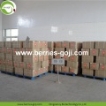 Fruit Product Buy Bulk Package Common Goji Berry