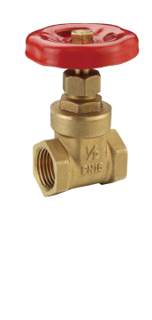 PN 16 brass gate valve